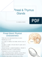 The Pineal - Thymus Glands - M.SC - IIyr - Endo