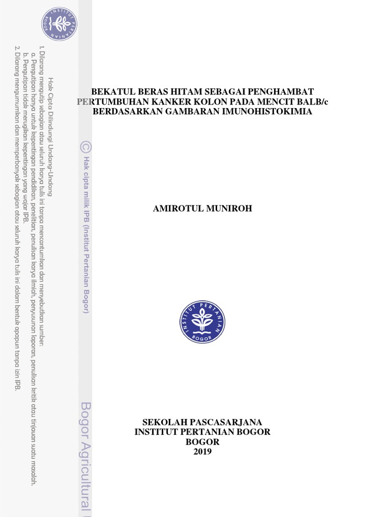 Bekatul Beras Hitam Sebagai Penghambat Pertumbuhan Kanker Kolon Pada ...