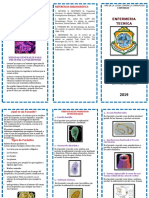 Síntomas y medidas para prevenir parasitosis