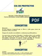 Gerencia de Proyectos PDF