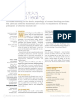 PrinciplesWoundHealing_WCCSpring2011.pdf