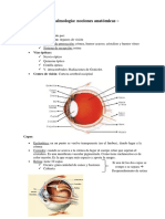 Tema 2. Atención de Enfermería A Pacientes Con Alteraciones Oftalmológicas