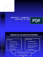 Conceptos básicos de proyectos de inversión en