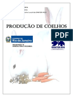 PRODUCAO DE COELHOS.pdf