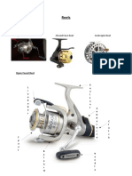 Types of Reels