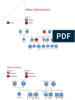 Arbol Genealogico Actividad