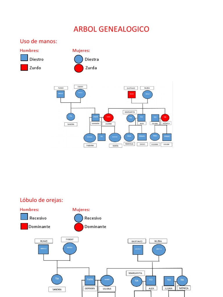 Arbol Genealogico Actividad | PDF