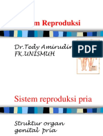 Sistem Reproduksi KK FK-UMI 44