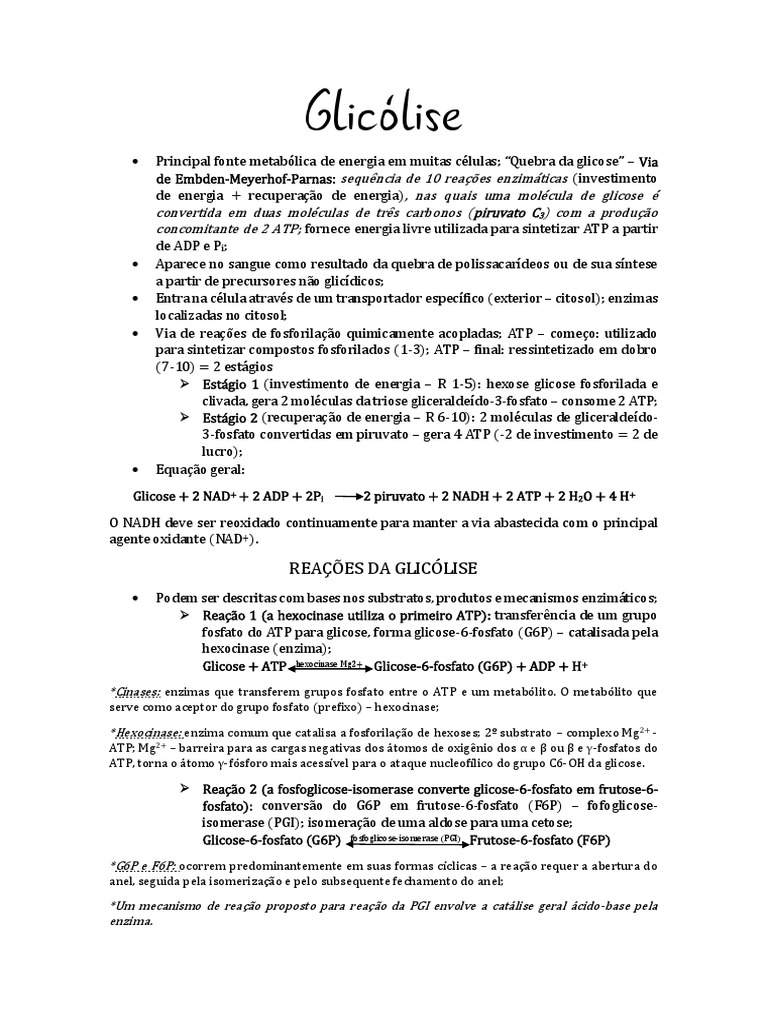 Grátis: digestão, absorção e metabolismo energético de carboidratos -  Material Claro e Objetivo em PDF para Estudo Rápido, image size:768x1024
