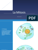 La Mitosis