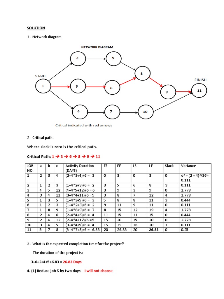 Solution Project Management | PDF