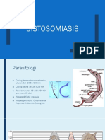 Sistosomiasis