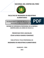 Informe de Experiencia Profesional PDF