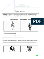 cuerpo humano.doc