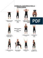 6 Lados de La Espina Dorsal Ytt