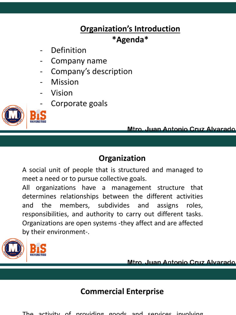 Organizations Introduction | PDF | Business | Economies