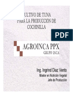 6 Agroinca PPX - La Joya-3