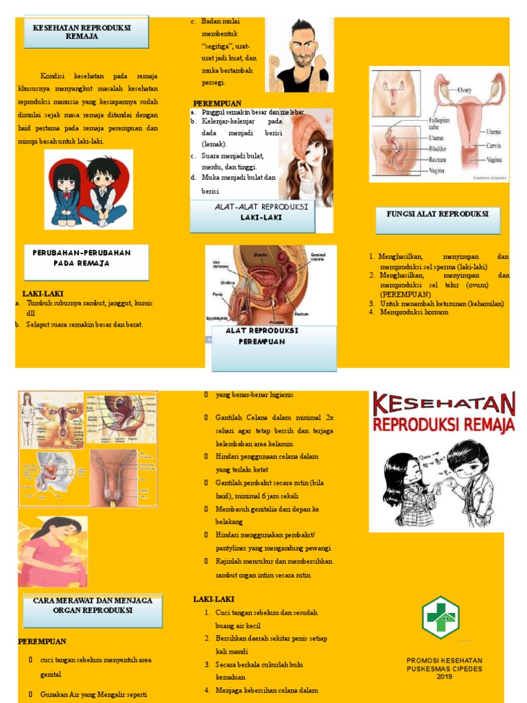 Leaflet Kesehatan Reproduksi Remaja PDF