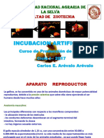 Proceso de Incubación