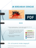 Demam Berdarah Dengue