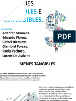 Bienes Tangibles e Intangibles