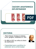 Clasificacion Anatomica Por Estadios