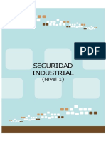 Seguridad Industrial: (Nivel 1)