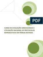 Curso de avaliacao ginecologica e utilizacao racional de protocolos de IATF