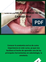 252_anatomia, anestesia.pdf