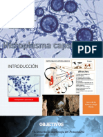 Histoplasmosis: morfología, epidemiología y diagnóstico