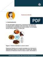Comercio_exterior.pdf