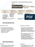 ¿Cuál Es La Clasificación y Características de Las Fluoroquinolonas?