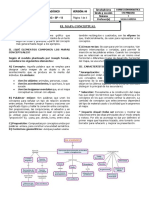 El Mapa Conceptua - 5to de Primaria - Bruning