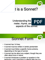 What Is A Sonnet?: Understanding The Forms, Meter, Rhyme, and Other Aspects of The Sonnet