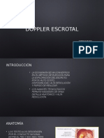 Doppler Escrotal