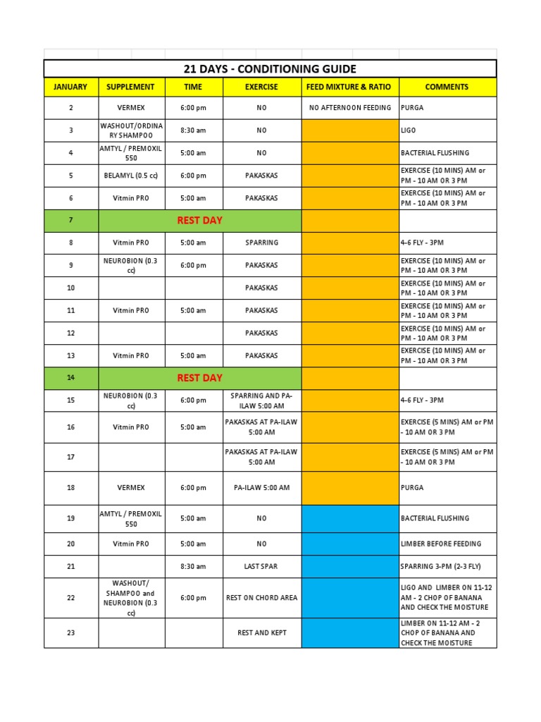 21-Days Conditioning Guide | Download Free PDF | Nutrition | Diet ...