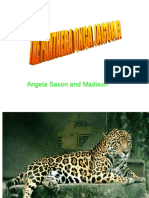 Angela Saxon and Madison Jaguar