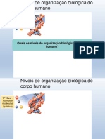 CNT - PROF2_Níveis Estruturais Do Corpo Humano