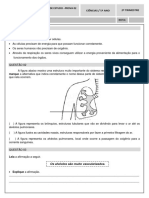 Pe Prova - 2o Tri - 5o Ano Fundamental I_2019