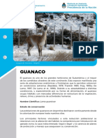 Conservación del Guanaco