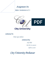 City University Peshawar: Assignment On