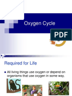 Oxygen Cycle in Environmental.ppt