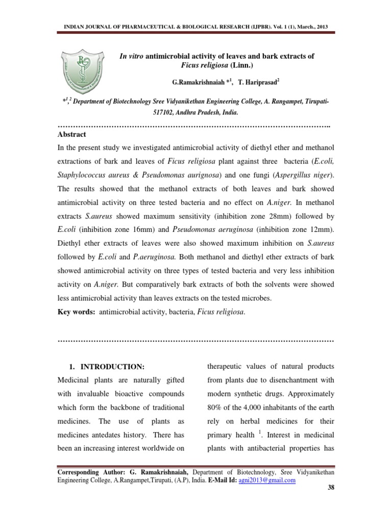 Antimicrobial Activity of Ficus religiosa Extracts | PDF | Herbalism ...