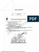 Agenti Tensioactivi PDF