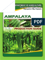 Ampalaya PDF