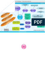 Concept Map Teory