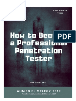 How To Become A Professional Penetration Tester