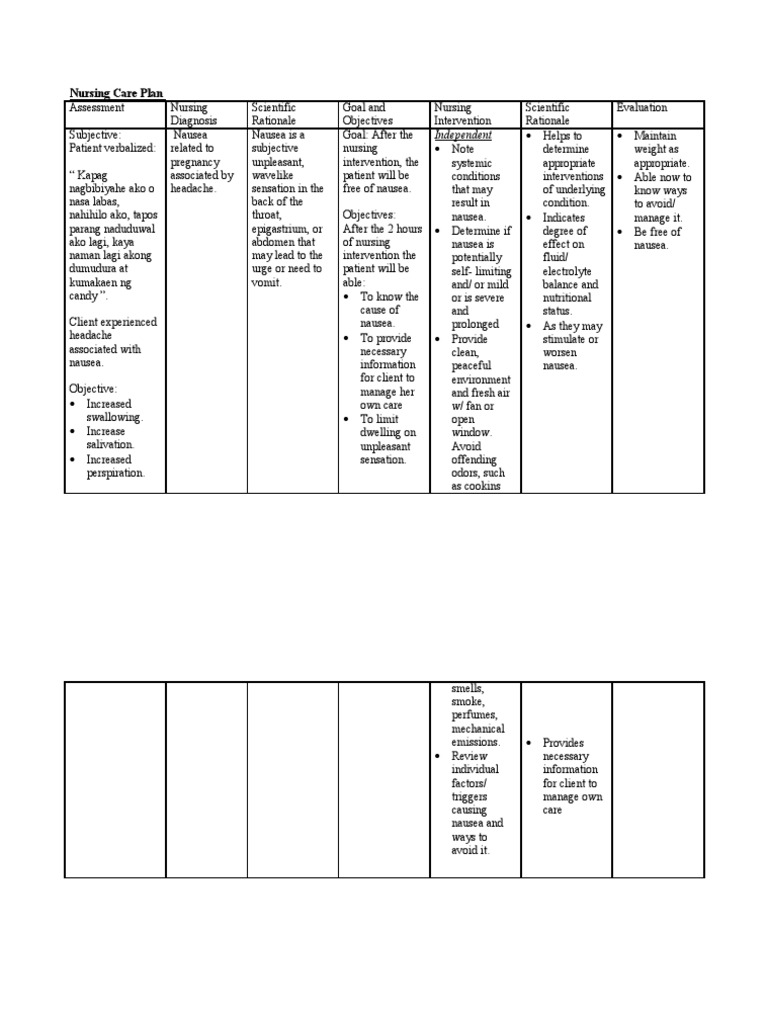 Nursing Care PlanPrenatal
