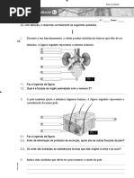 Sist Urinario - Pele- Plantas