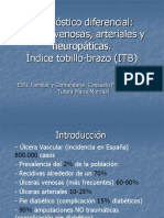 C3balceras Venosas Arteriales y Neuropc3a1ticas1